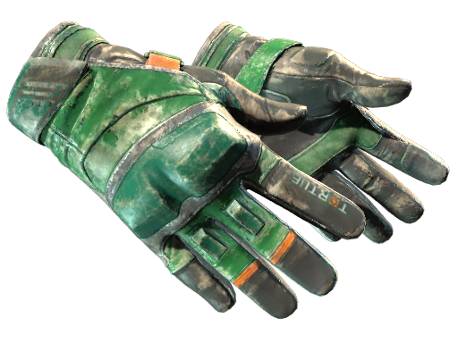 Moto Gloves | Turtle | Battle-Scarred