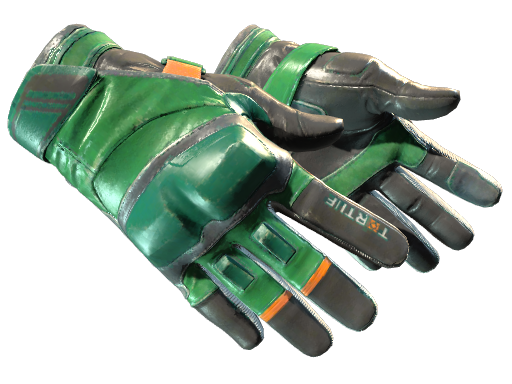 Moto Gloves | Turtle | Field-Tested
