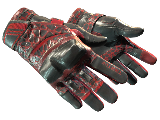 Moto Gloves | Blood Pressure | Field-Tested