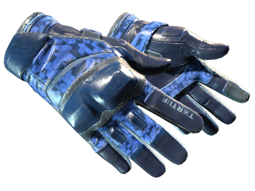 Moto Gloves | Polygon | Field-Tested
