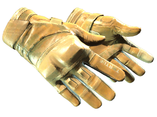Moto Gloves | Transport | Well-Worn