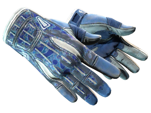 Sport Gloves | Amphibious | Battle-Scarred