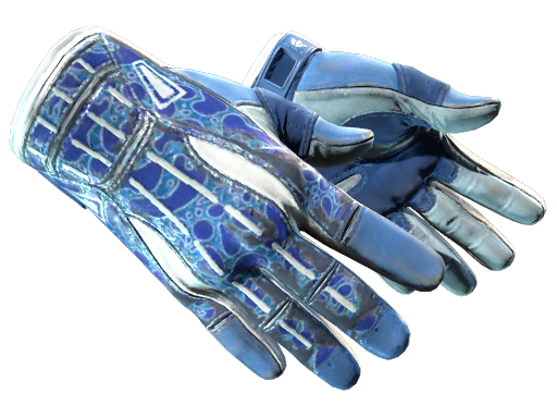 Sport Gloves | Amphibious | Field-Tested