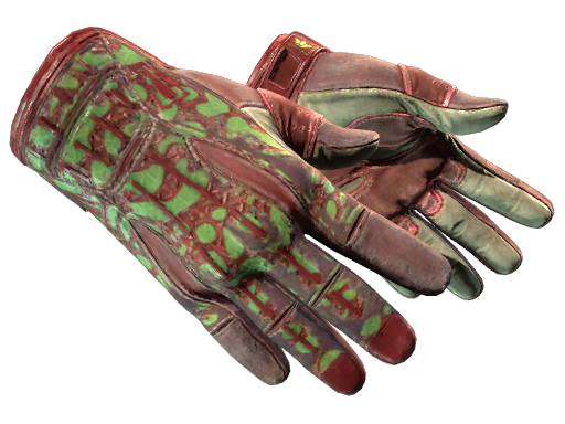 Sport Gloves | Bronze Morph | Battle-Scarred