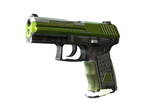 P2000 | Turf | Well-Worn