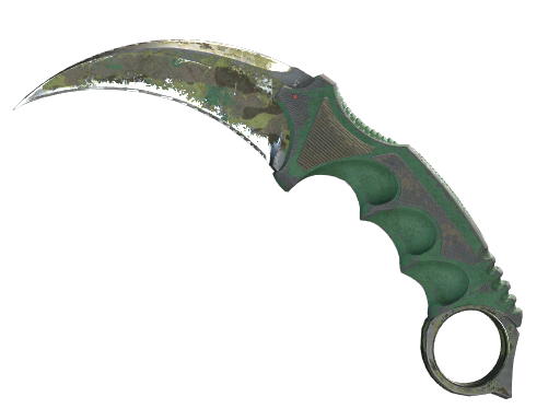 Karambit | Boreal Forest | Battle-Scarred