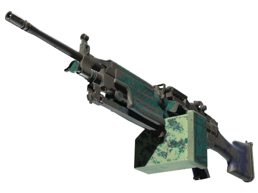 M249 | Shipping Forecast | Battle-Scarred