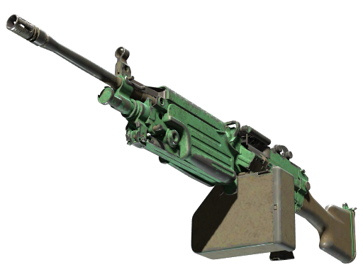 M249 | Jungle | Battle-Scarred