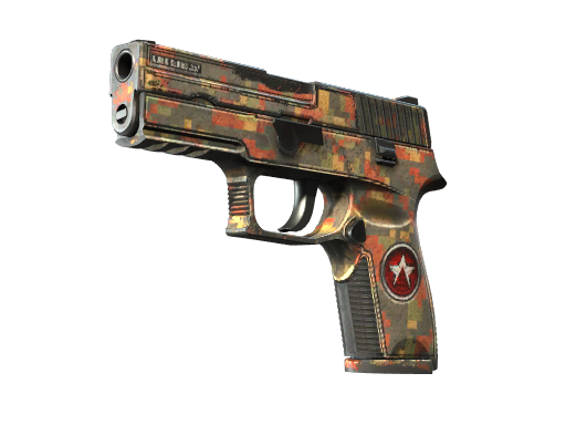 P250 | Red Rock | Battle-Scarred