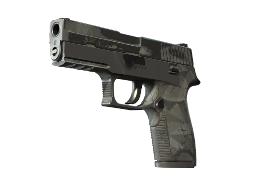 P250 | Facets | Battle-Scarred