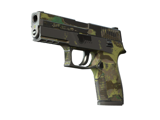 P250 | Boreal Forest | Battle-Scarred