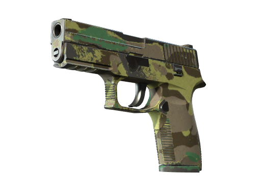 P250 | Boreal Forest | Field-Tested