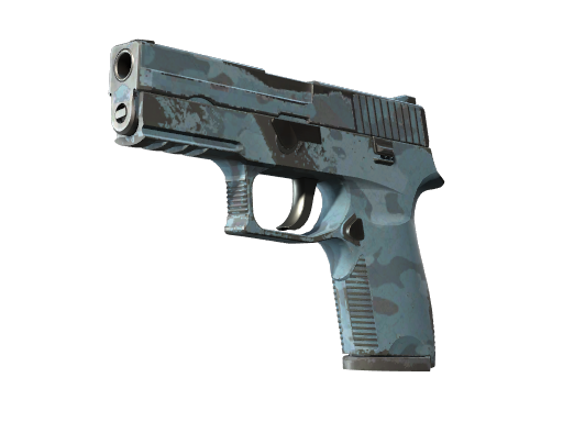 P250 | Forest Night | Field-Tested