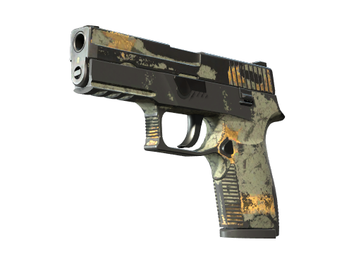 P250 | Modern Hunter | Battle-Scarred