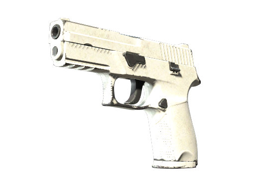 P250 | Whiteout | Field-Tested