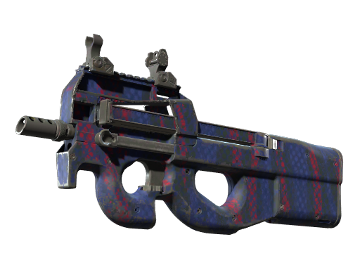 P90 | Teardown | Well-Worn