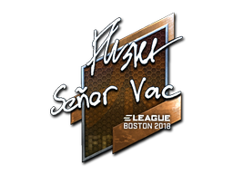 Sticker | flusha | Boston 2018 | Foil