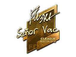 Sticker | flusha | Boston 2018 | Gold