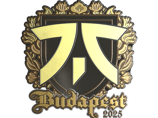 Sticker | fnatic | Budapest 2025 | Gold