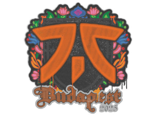 Sealed Graffiti | fnatic | Budapest 2025 | Default