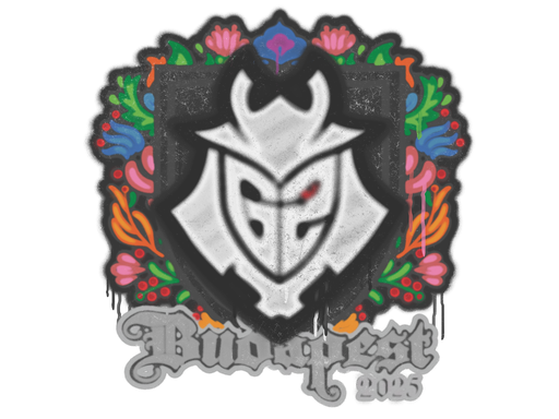 Sealed Graffiti | G2 esports | Budapest 2025 | Default