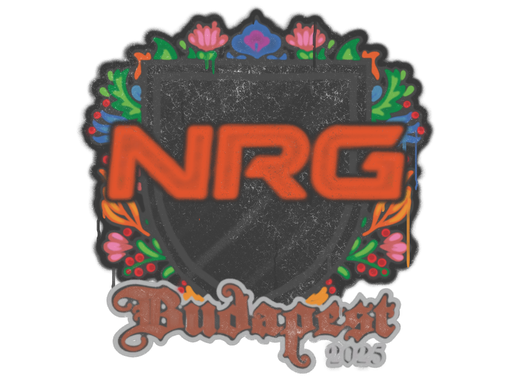 Sealed Graffiti | NRG | Budapest 2025 | Default