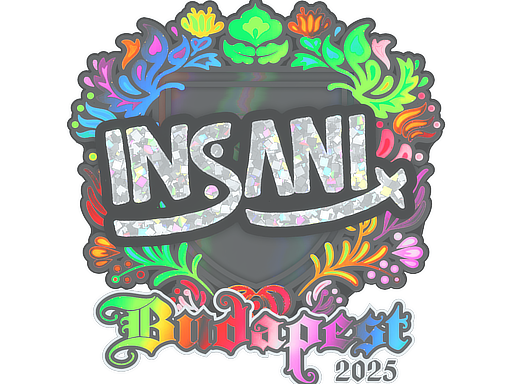 Sticker | insani | Budapest 2025 | Holo