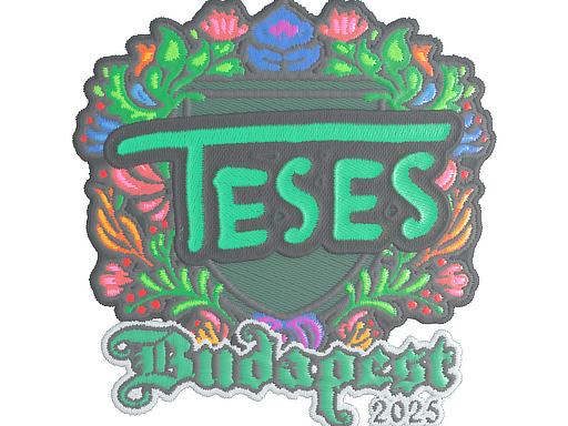 Sticker | TeSeS | Budapest 2025
