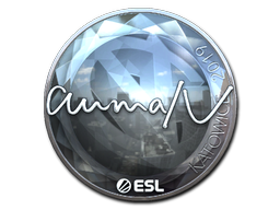 Sticker | aumaN | Katowice 2019 | Foil