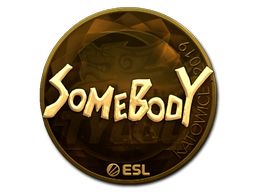 Sticker | somebody | Katowice 2019 | Gold