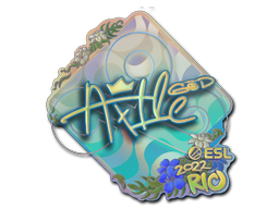 Sticker | Ax1Le | Rio 2022 | Holo