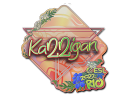 Sticker | karrigan | Rio 2022 | Holo