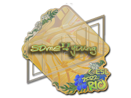 Sticker | sdy | Rio 2022 | Holo