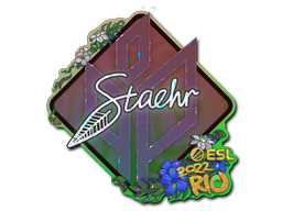 Sticker | Staehr | Rio 2022 | Glitter
